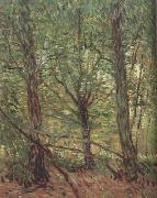 Vincent Van Gogh Trees adn Undergrowth (nn04) oil painting picture wholesale